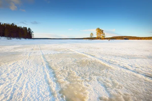 Bevroren Meer Besneeuwd Dennenbos Bij Zonsondergang Ijs Textuur Dramatische Hemel — Stockfoto