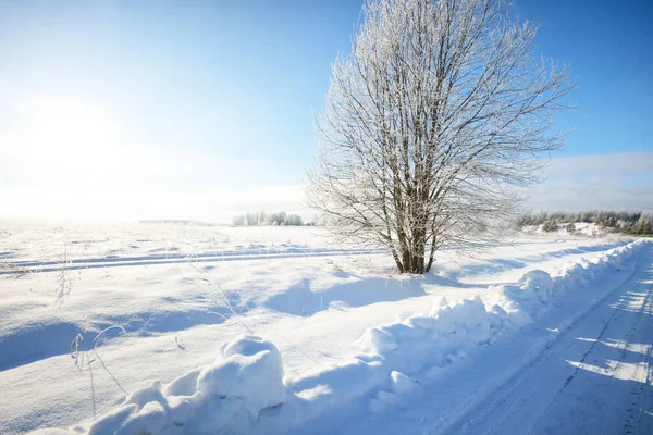 暴风雪过后 白桦树和其他落叶树在雪山上 从乡村道路上看 晴朗的蓝天 冬天的仙境宜人的冬季场景 — 图库照片