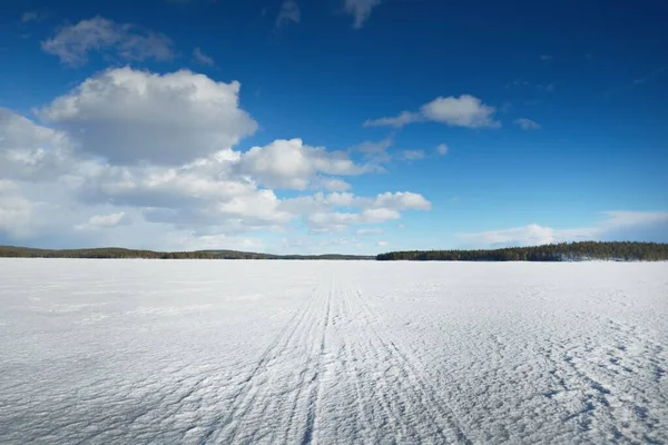 Lago Congelado Bosque Pinos Atardecer Textura Hielo Cielo Azul Tormentoso — Foto de Stock