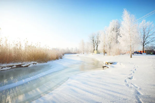 在暴风雪之后 一条冰冻的小河和高大的桦树在霜冻中 近在咫尺 新雪上的人类脚印 晴朗的冬日 温暖的阳光 拉脱维亚 — 图库照片