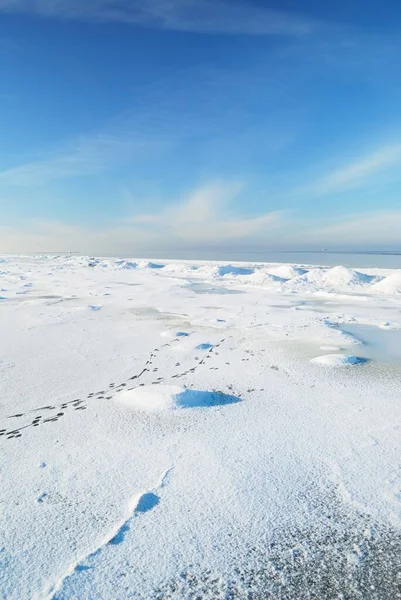 冰封的波罗的海海岸在晴朗的日子里 雪的质感 人迹罕至 蓝天冬季风景 概念形象 气候变化 全球变暖 — 图库照片