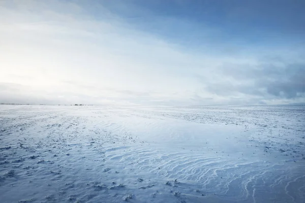 Vista Panoramica Del Campo Innevato Dopo Una Bufera Neve Tramonto — Foto Stock