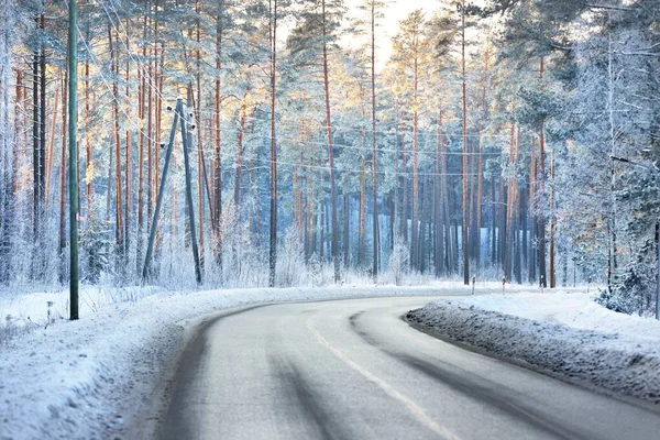 Camino Asfalto Cubierto Nieve Vacío Través Del Bosque Pinos Atardecer —  Fotos de Stock