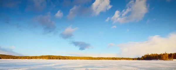 Frozen lake and snow-covered pine forest at sunset. Ice texture. Clear blue sky, golden clouds. Winter wonderland. Nature, environmental conservation, climate change. Panoramic scenery