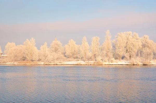 Snow Covered Trees City Park View Embankment Daugava River Symmetry — Stock Photo, Image