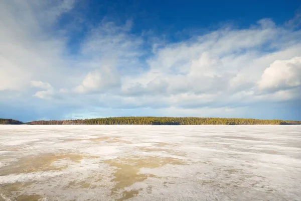 日落时分 冰封的湖泊和松树林 冰的质感戏剧化的暴风雨般的蓝天 史诗般的云雾 冬天的仙境自然 气候变化 生态旅游 变化无常的天气 — 图库照片