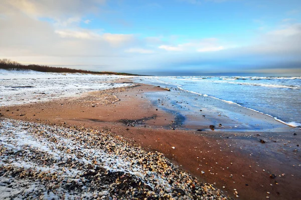 View Snow Covered Baltic Sea Shore Lots Seashells Riga Bay — Stock Photo, Image