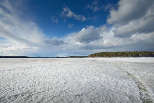 Bevroren Meer Dennenbos Bij Zonsondergang Ijs Textuur Dramatische Stormachtige Blauwe — Stockfoto