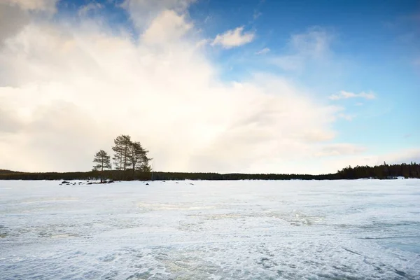 Lago Congelado Bosque Pinos Atardecer Textura Hielo Cielo Azul Tormentoso — Foto de Stock