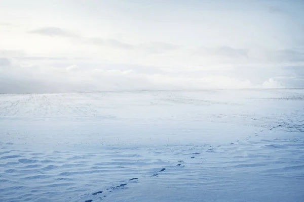 Panoramisch Uitzicht Het Besneeuwde Veld Een Sneeuwstorm Bij Zonsondergang Menselijke — Stockfoto
