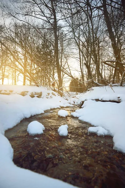 日落时分 在白雪覆盖的波罗的海海岸附近一条水晶般清澈的森林小河 温暖的黄昏阳光穿过树干 宜人的冬季场景 拉脱维亚Kaltene — 图库照片