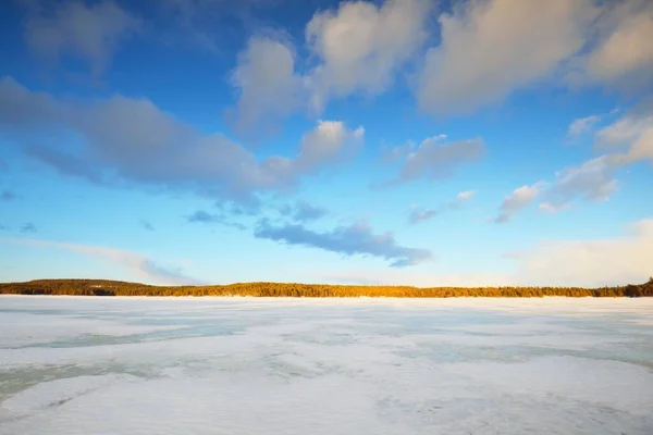 Lac Gelé Forêt Pins Enneigés Coucher Soleil Texture Glacée Ciel — Photo