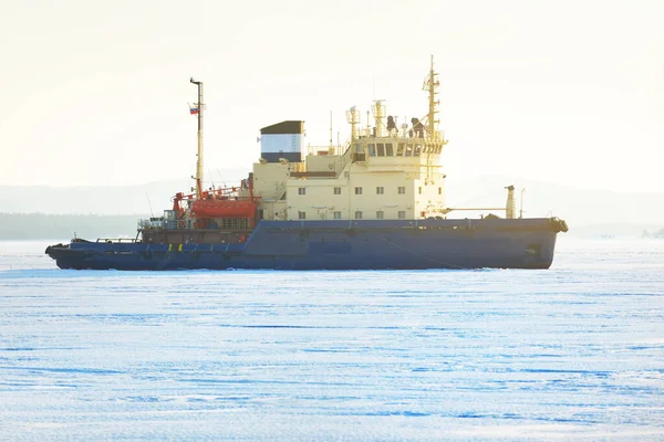 Rompehielos Cerca Mar Blanco Círculo Polar Rusia Textura Hielo Concepto —  Fotos de Stock