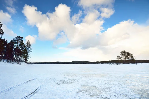 Gefrorener See Und Kiefernwald Bei Sonnenuntergang Eisstruktur Traktorspuren Aus Nächster — Stockfoto