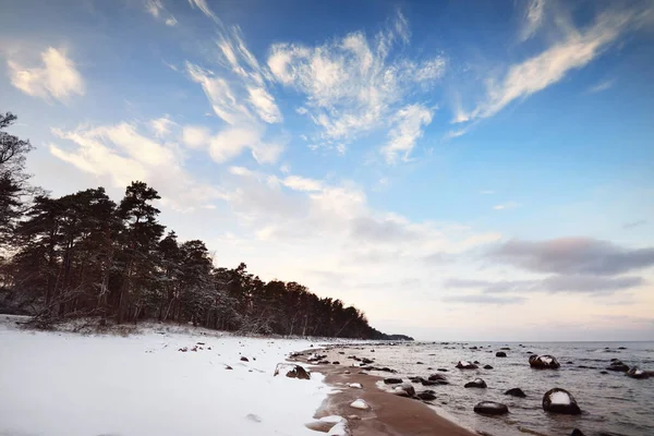 日没の雪に覆われたバルト海沿岸の景色 水の中の石を閉じる 背景に針葉樹林 見事な雲景だ 暖かい夜の光 ラトビアのカルテネ — ストック写真