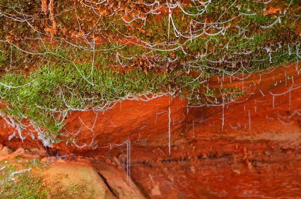 Orange Sandsten Klippa Med Massor Gröna Växter Närbild Fryst Vatten — Stockfoto