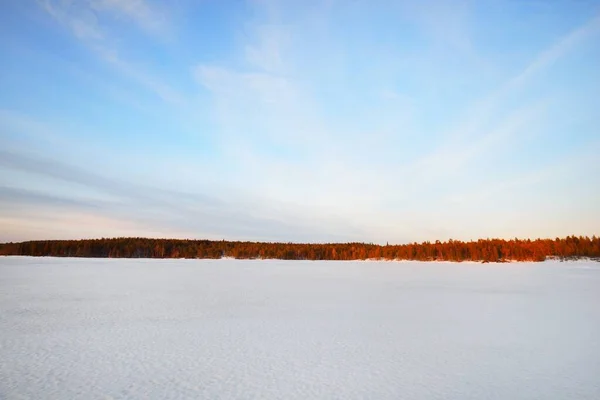 Gefrorener See Und Schneebedeckter Kiefernwald Bei Sonnenuntergang Eisstruktur Dramatischer Himmel — Stockfoto