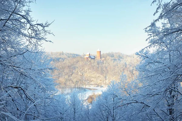 Veduta Aerea Panoramica Del Vecchio Castello Turaida Una Limpida Giornata — Foto Stock