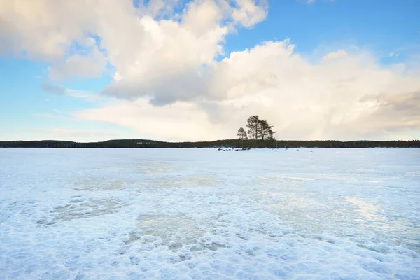 Fryst Sjö Och Tallskog Vid Solnedgången Isstruktur Dramatisk Stormig Blå — Stockfoto