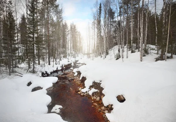 Wild river in a snow-covered forest. Stones close-up, crystal clear water. Idyllic winter scene. Nature, environmental conservation, ecology, climate change, ecotourism, Christmas concepts