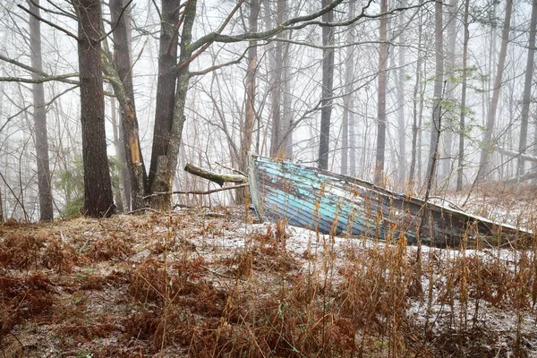 Verlassenes Altes Blaues Holzboot Einem Geheimnisvollen Winterwald Moosige Bäume Weißen — Stockfoto