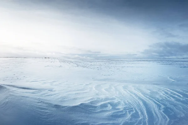 Vue Panoramique Champ Enneigé Après Blizzard Coucher Soleil Des Traces — Photo