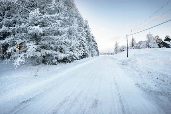 녘에는 눈덮인 도로가 파노라마처럼 보인다 소나무들 겨울의 전기가 가까이 비탈길 — 스톡 사진