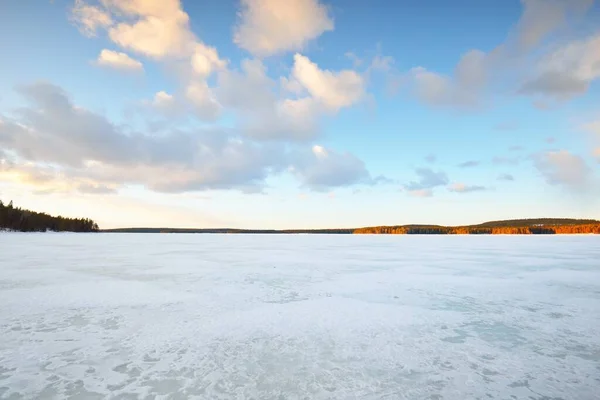 무렵얼어붙은 호수와 눈덮인 소나무 부드러운 낭만적 풍경이었다 생태계 생태관광 크리스마스 — 스톡 사진