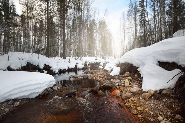 在白雪覆盖的森林中的野生河流 石头特写 水晶清澈的水 宜人的冬季场景 环境保护 气候变化 生态旅游 圣诞节概念 — 图库照片