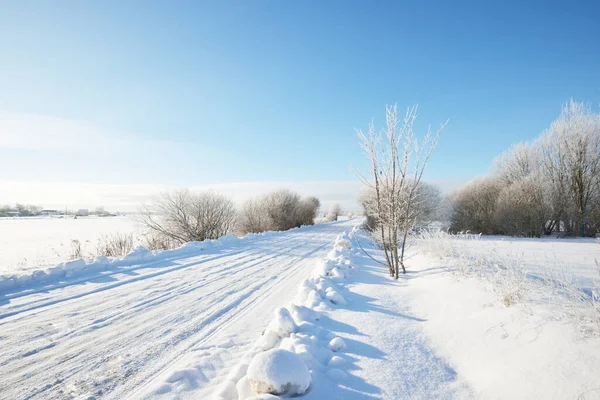 Snow-covered single lane rural road through the fields on a sunny day. Finland. Clear blue sky. Deciduous and evergreen trees in hoarfrost in the background. Idyllic winter landscape