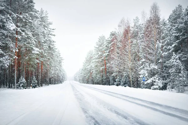 Snow Covered Highway Asphalt Road Coniferous Forest Blizzard Lapland Finland — Stock Photo, Image