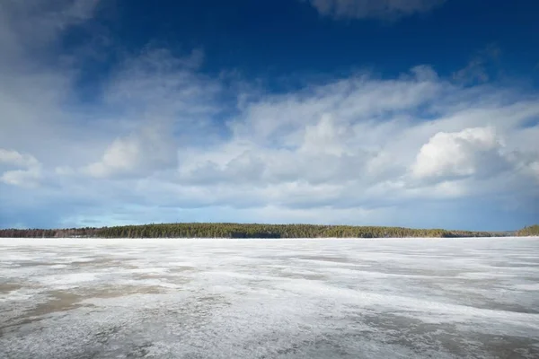 Lago Congelado Pinhal Pôr Sol Textura Gelo Céu Azul Tempestuoso — Fotografia de Stock