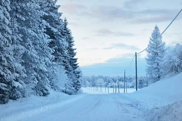 日落时覆盖着积雪的森林乡村道路的全景 松树树 冬天的仙境电力线路特写 越野旅行 偏远乡村 — 图库照片