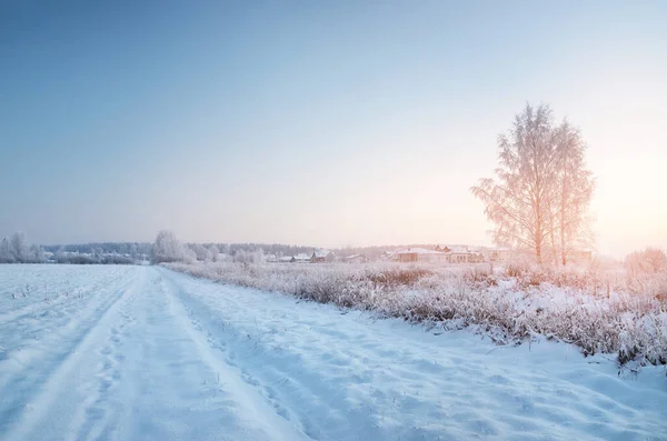 Vägen Genom Det Snötäckta Fältet Till Liten Vid Solnedgången Träd — Stockfoto