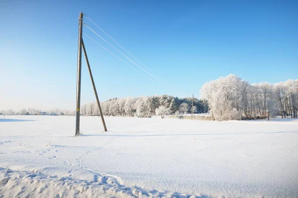 在拉脱维亚 雪地上覆盖着霜冻的树木 变压器杆和电缆的特写 晴朗的蓝天 中央供暖 环境破坏主题 — 图库照片