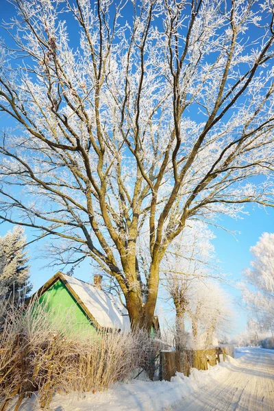 Geleneksel Ahşap Evlerin Olduğu Köyde Karla Kaplı Köy Yolu Kış — Stok fotoğraf