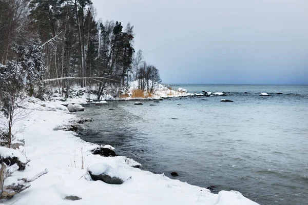Neve Coberto Lago Costa Floresta Depois Uma Nevasca Lapónia Finlândia — Fotografia de Stock