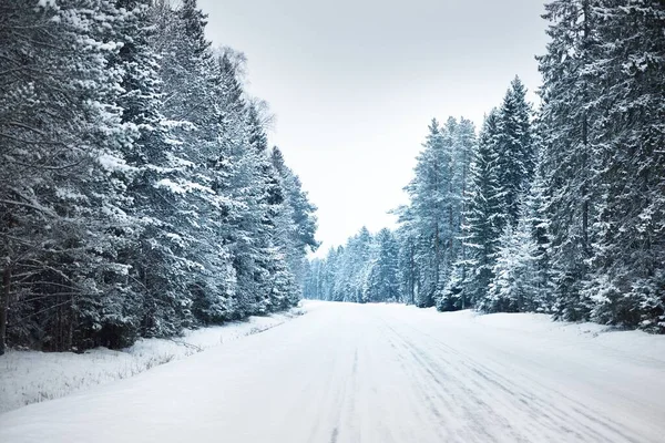 Hófödte Autópálya Aszfalt Tűlevelű Erdőn Keresztül Egy Hóvihar Után Lappföld — Stock Fotó