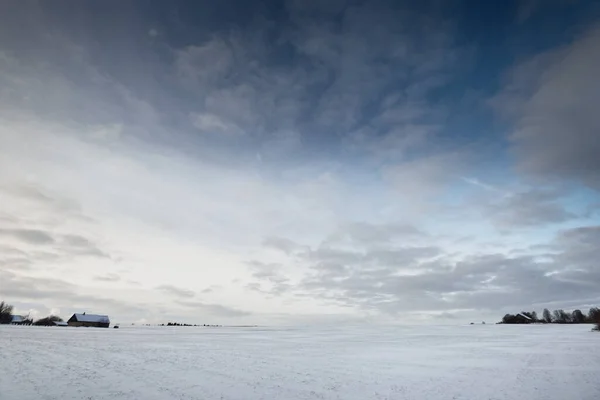 夕暮れ時の吹雪の後の雪に覆われたフィールドのパノラマビュー 新鮮な雪の中で人間のトラック 背景には古い素朴な木造の家 氷の砂漠 地球温暖化をテーマに フィンランドのラップランド — ストック写真