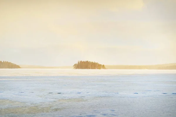 Frozen lake and snow-covered pine forest at sunset. Ice texture. Dramatic sky, soft sunlight. Idyllic winter scene. Nature, environmental conservation, ecology, climate change, ecotourism, Christmas