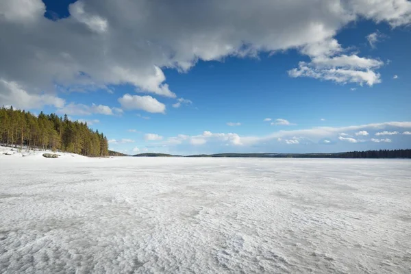 Zmrzlé Jezero Borový Les Při Západu Slunce Ledová Textura Dramatická — Stock fotografie