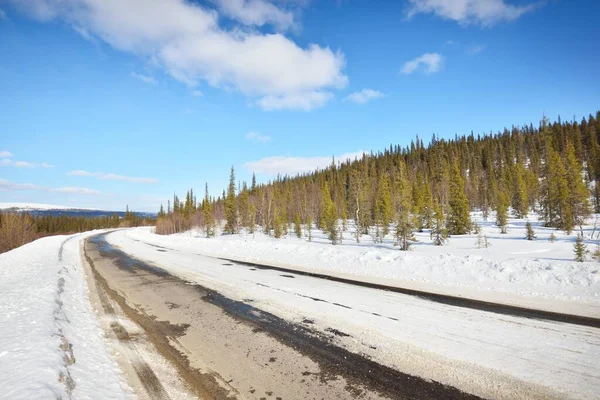 Üres Régi Aszfalt Autópálya Fenyőerdőn Keresztül Hóval Borított Hegyek Téli — Stock Fotó