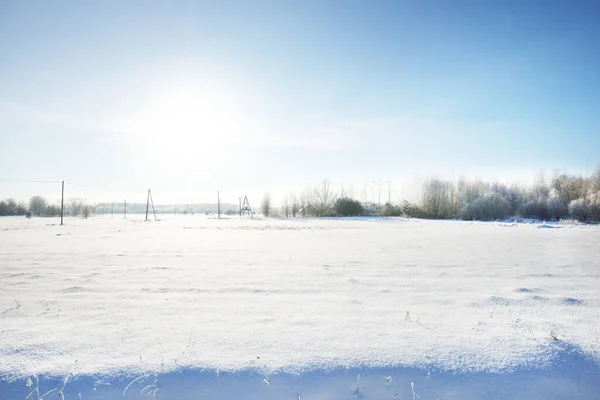 Panoramatický Výhled Zasněžené Pole Sněhové Bouři Křoví Zblízka Polední Slunce — Stock fotografie