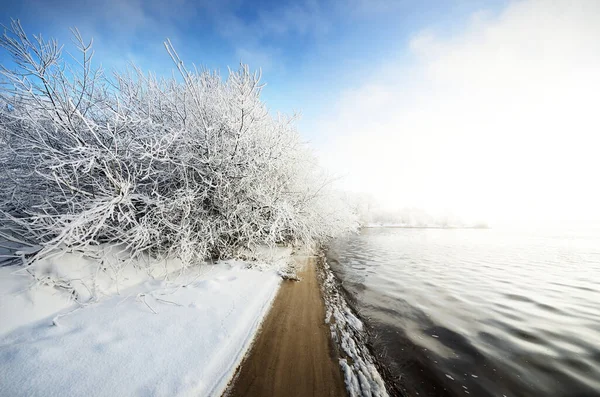 Snow-covered trees in a city park, a view of the embankment and river. Christmas vacations in Riga, Latvia. Winter wonderland. Idyllic landscape. Weather, seasons, climate change