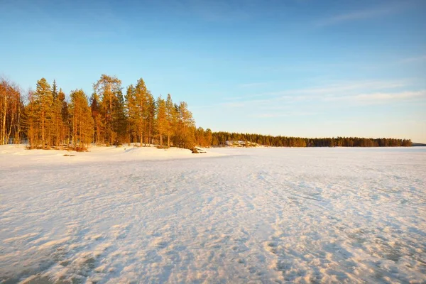 Lago Congelado Bosque Pinos Cubierto Nieve Atardecer Textura Hielo Cielo —  Fotos de Stock