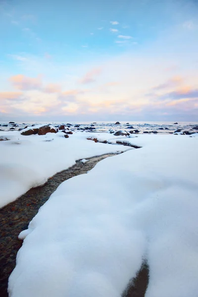 Patch Dégelé Dans Une Neige Fraîche Côte Baltique Coucher Soleil — Photo