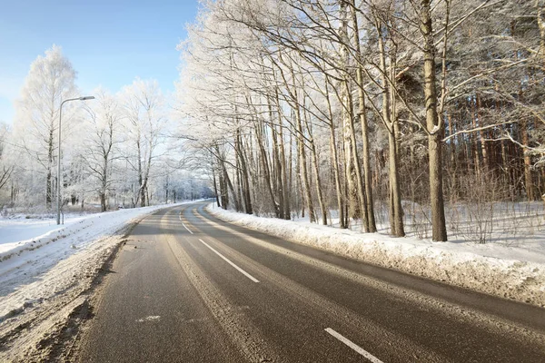 아스팔트 거리의 가까이 있습니다 자국이야 눈덮인 자작나무 있습니다 핀란드에서 운전을 — 스톡 사진