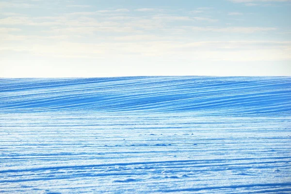 Adembenemend Panoramisch Uitzicht Het Besneeuwde Veld Een Sneeuwstorm Bij Zonsondergang — Stockfoto