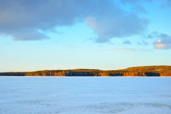 Lago Congelado Pinhal Coberto Neve Pôr Sol Textura Gelo Céu — Fotografia de Stock