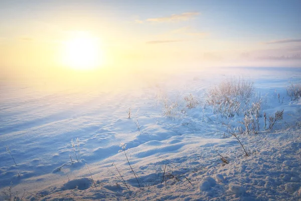 Breathtaking panoramic view of snow-covered field after a blizzard. Lapland, Finland. Sunset, setting sun, golden light. Winter wonderland. Ice desert. Ecology, weather, climate change, global warming